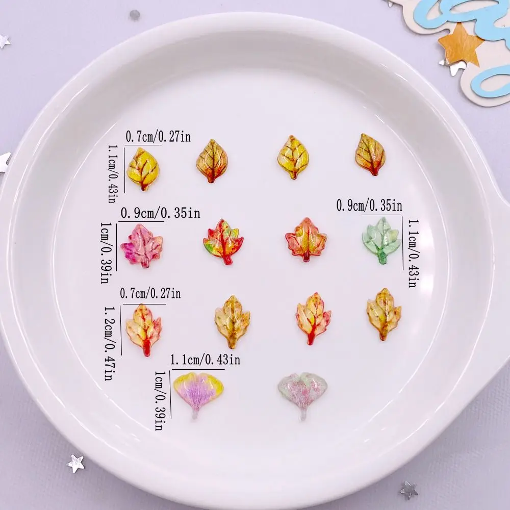 50pcs Mixed Resin Mini Crystal - Paradise Jewelry & Watches Llc Miami Photos ulasan dan harga